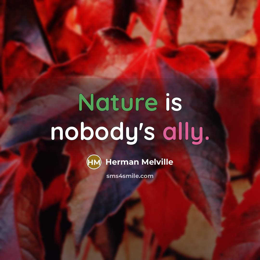 “Nature is nobody's ally.…” quote by Herman Melville
