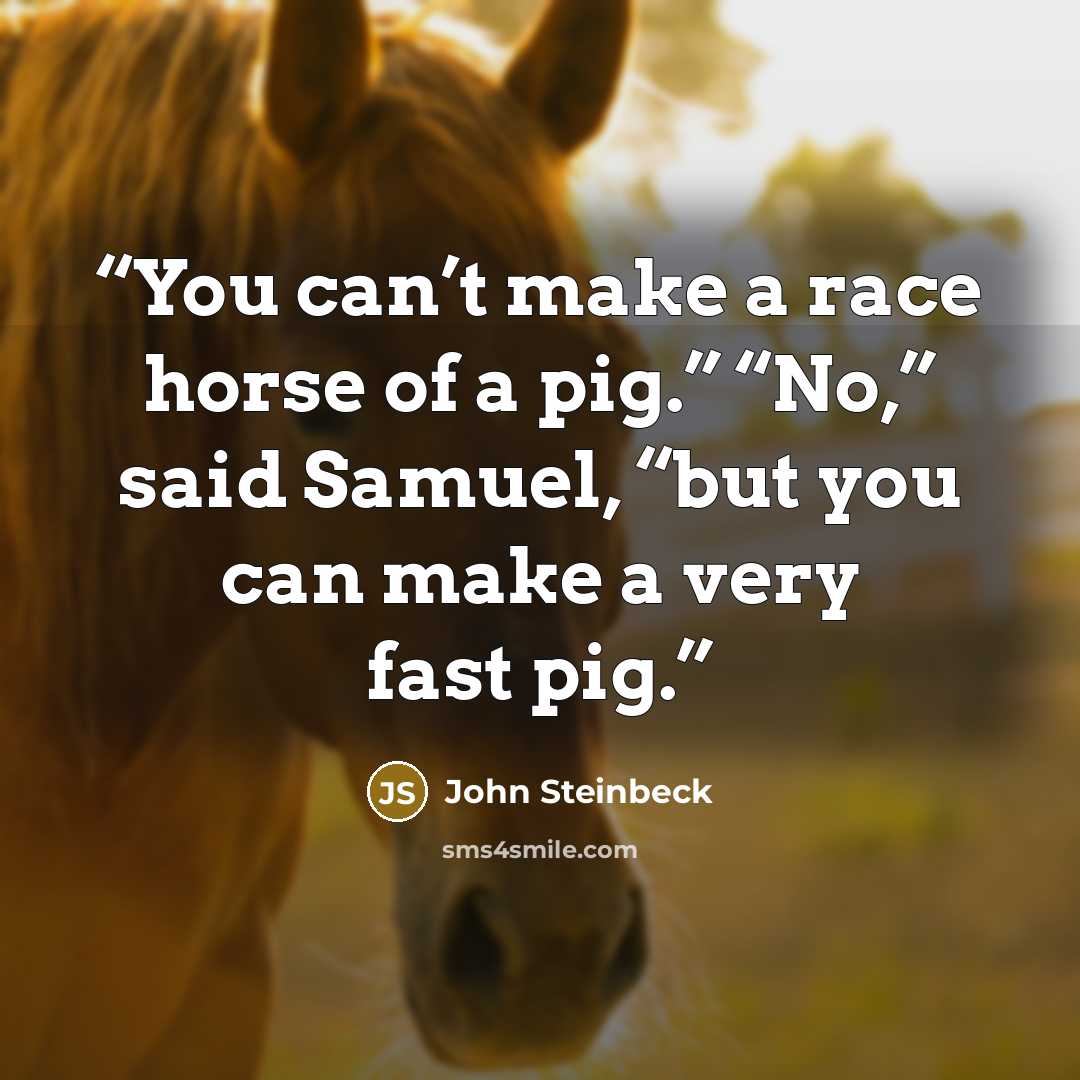 “You can’t make a race horse of a pig.” “No,” said Samuel, “but you can make a very fast pig.” quote by John Steinbeck
