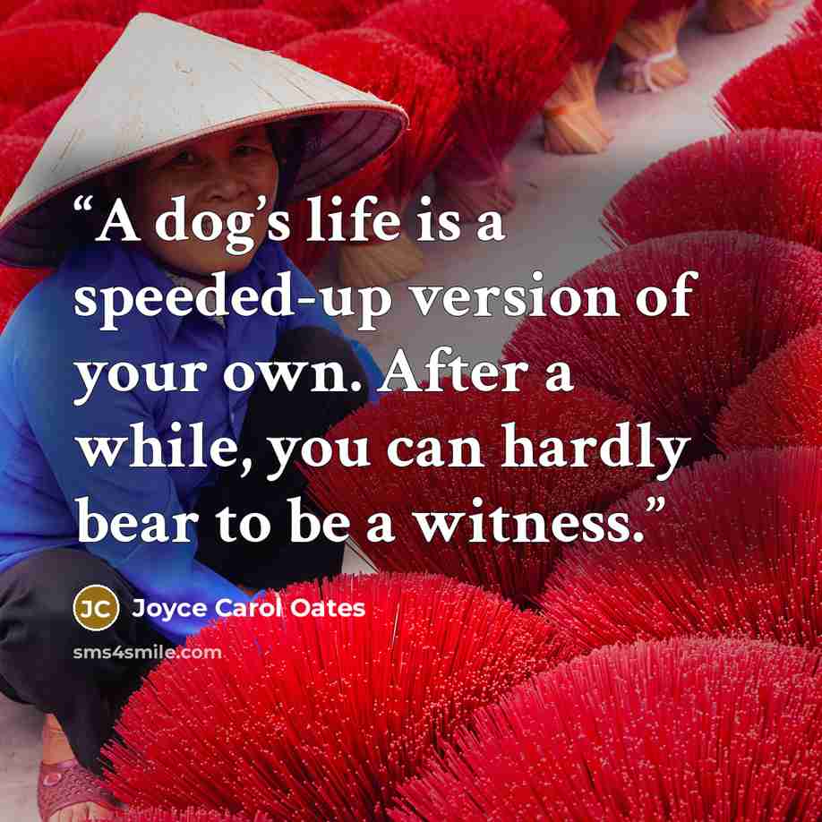 “A dog’s life is a speeded-up version of your own. After a while, you can hardly bear to be a witness.” quote by Joyce Carol Oates