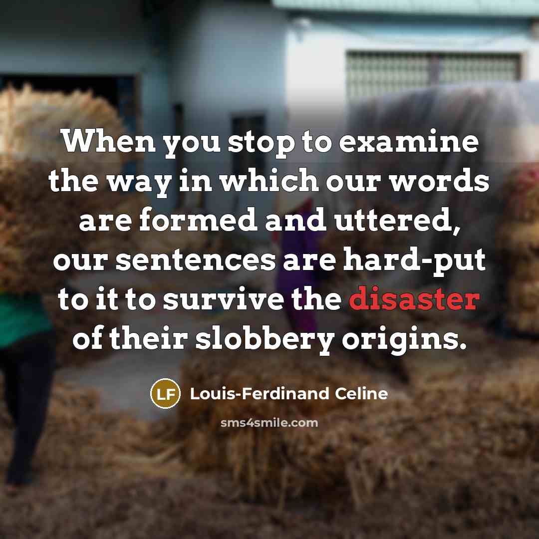 “When you stop to examine the way in which our…” quote by Louis-Ferdinand Celine