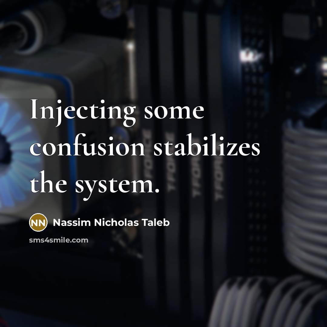 “Injecting some confusion stabilizes the system.…” quote by Nassim Nicholas Taleb