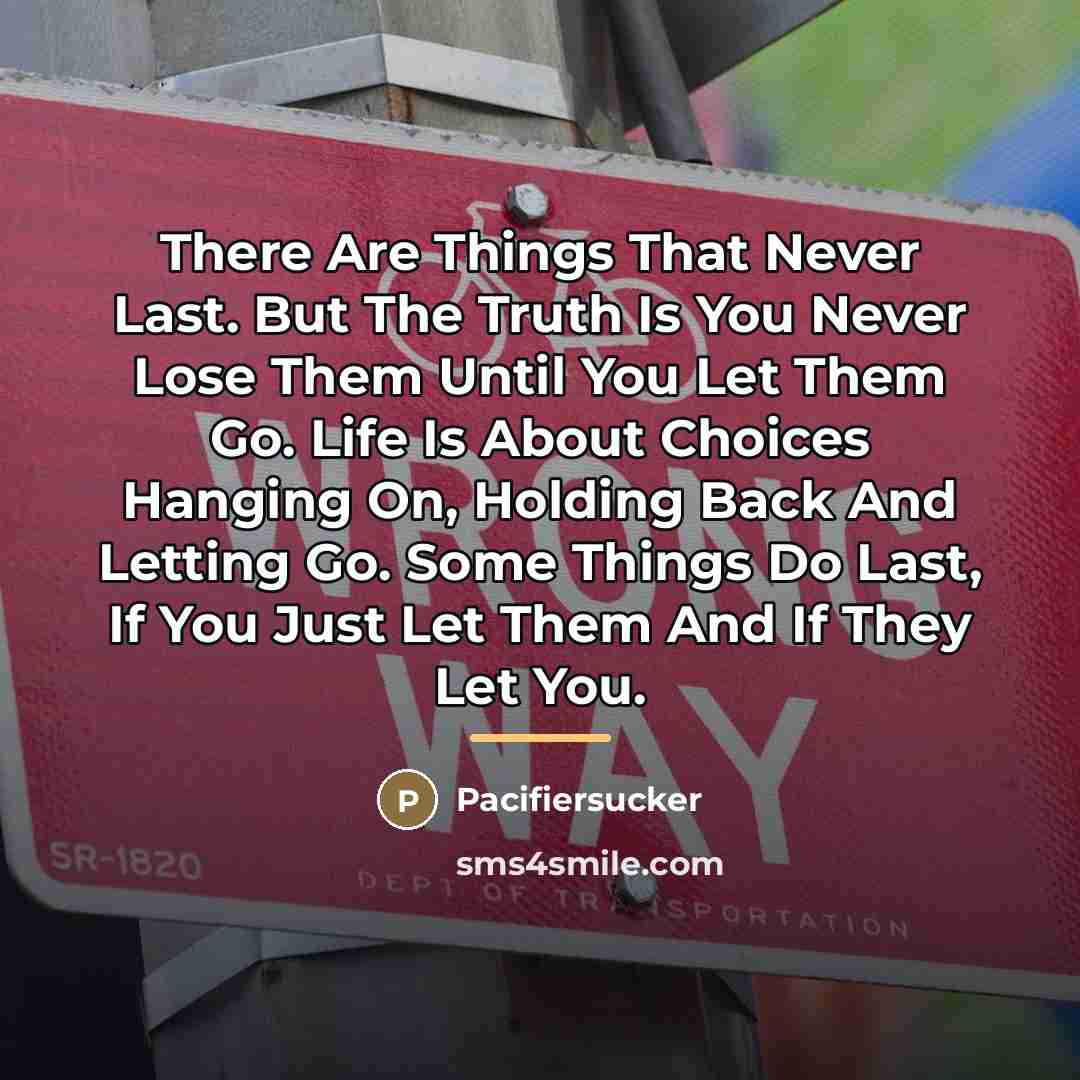 “There Are Things That Never Last. But The Truth Is…” quote by Pacifiersucker