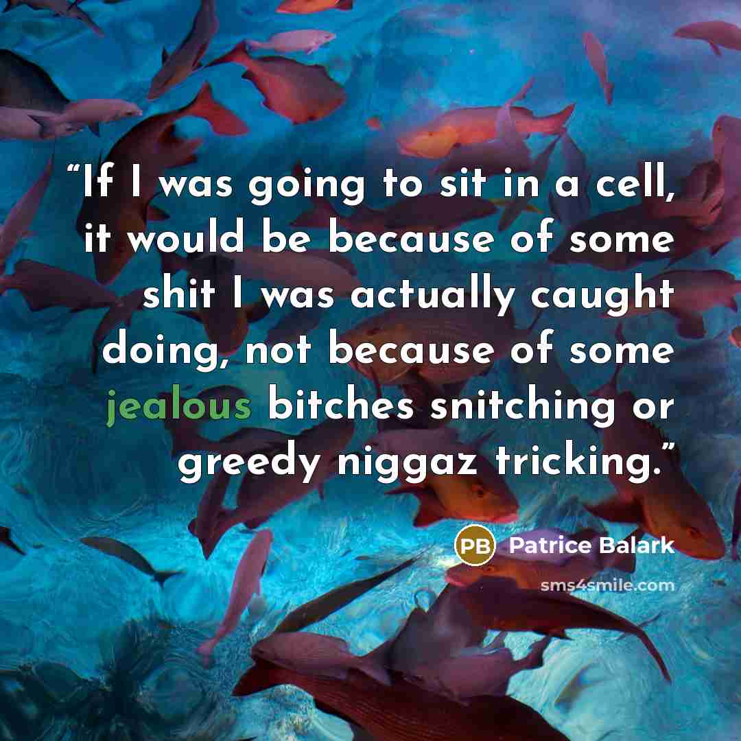 “If I was going to sit in a cell, it would be because of some shit I was actually caught doing, not because of some jealous bitches snitching or greedy niggaz tricking.” quote by Patrice Balark