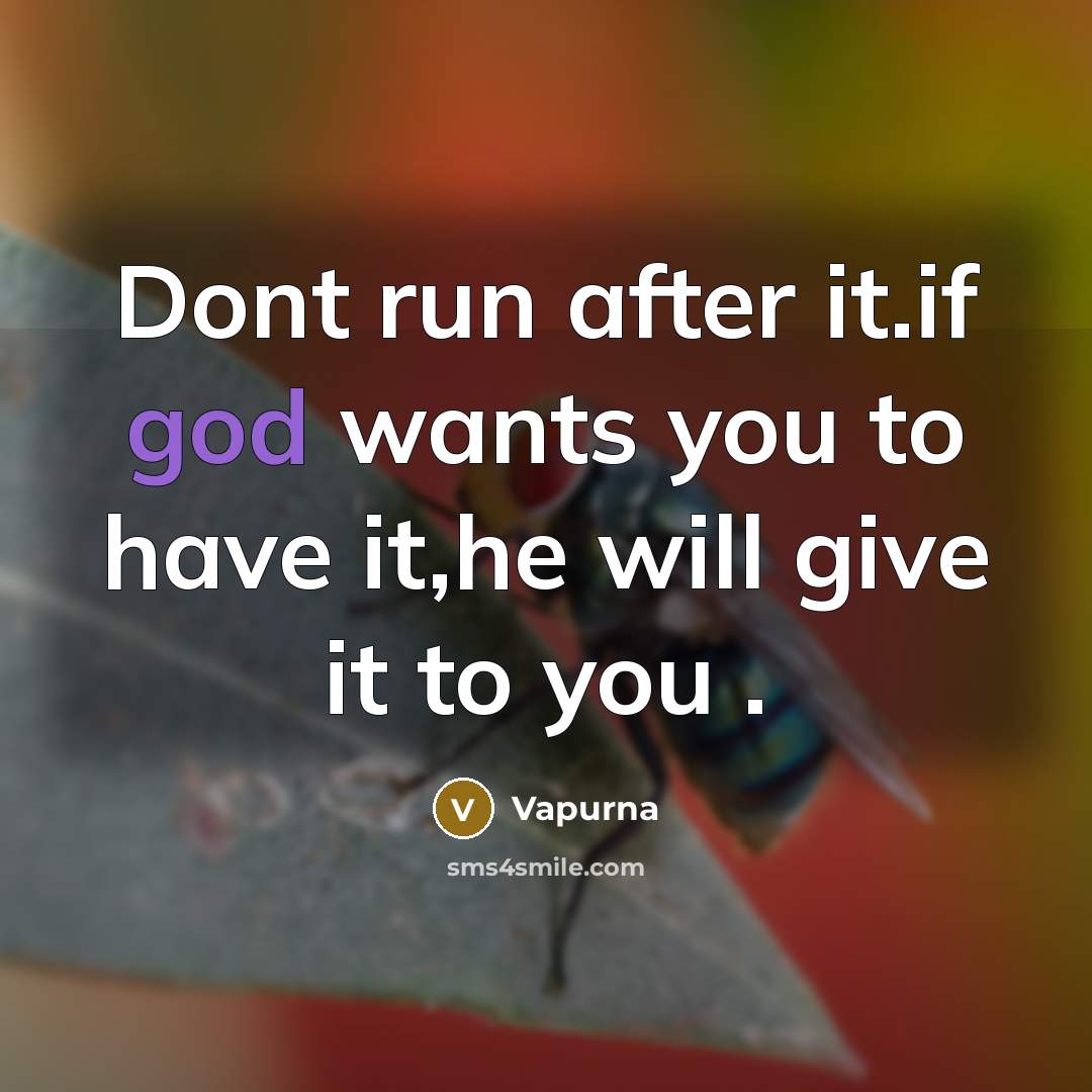 “Dont run after it.if god wants you to have it,he will give it to you .” quote by Vapurna