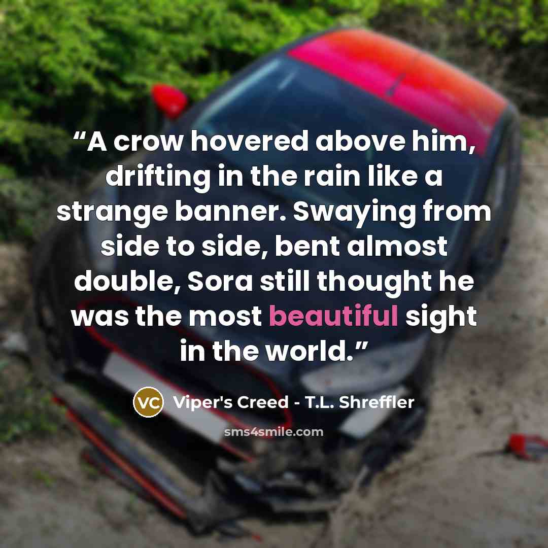 “A crow hovered above him, drifting in the rain like a strange banner. Swaying from side to side, bent almost double, Sora still thought he was the most beautiful sight in the world.” quote by Viper's Creed - T.L. Shreffler