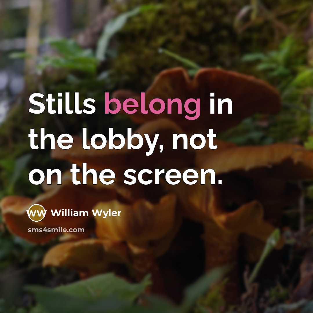 “Stills belong in the lobby, not on the screen.” quote by William Wyler