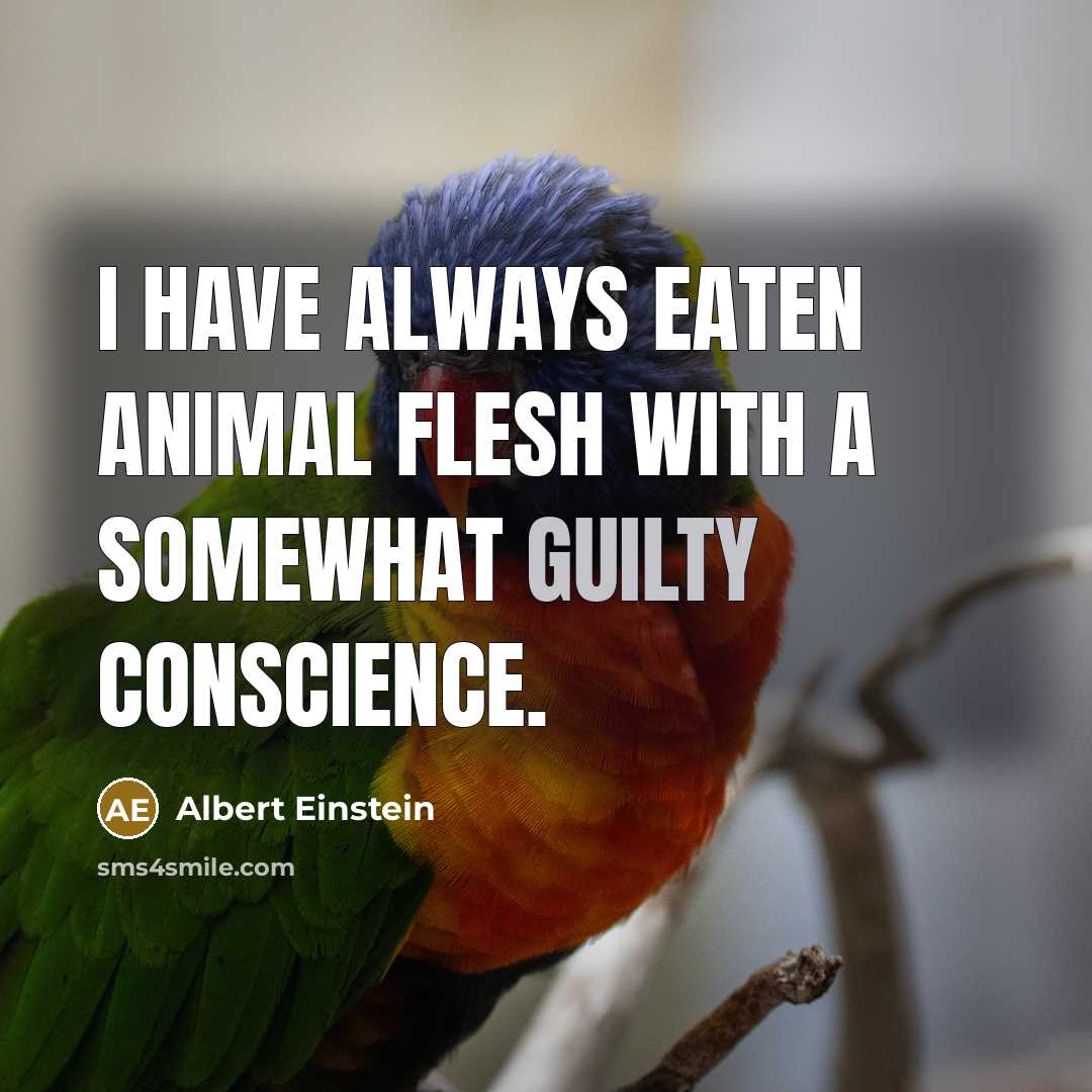 “I have always eaten animal flesh with a somewhat guilty…” quote by Albert Einstein