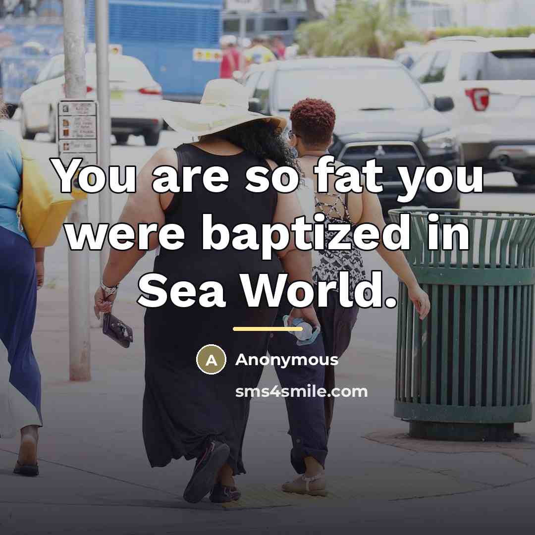“You are so fat you were baptized in Sea World.…” quote by Anonymous