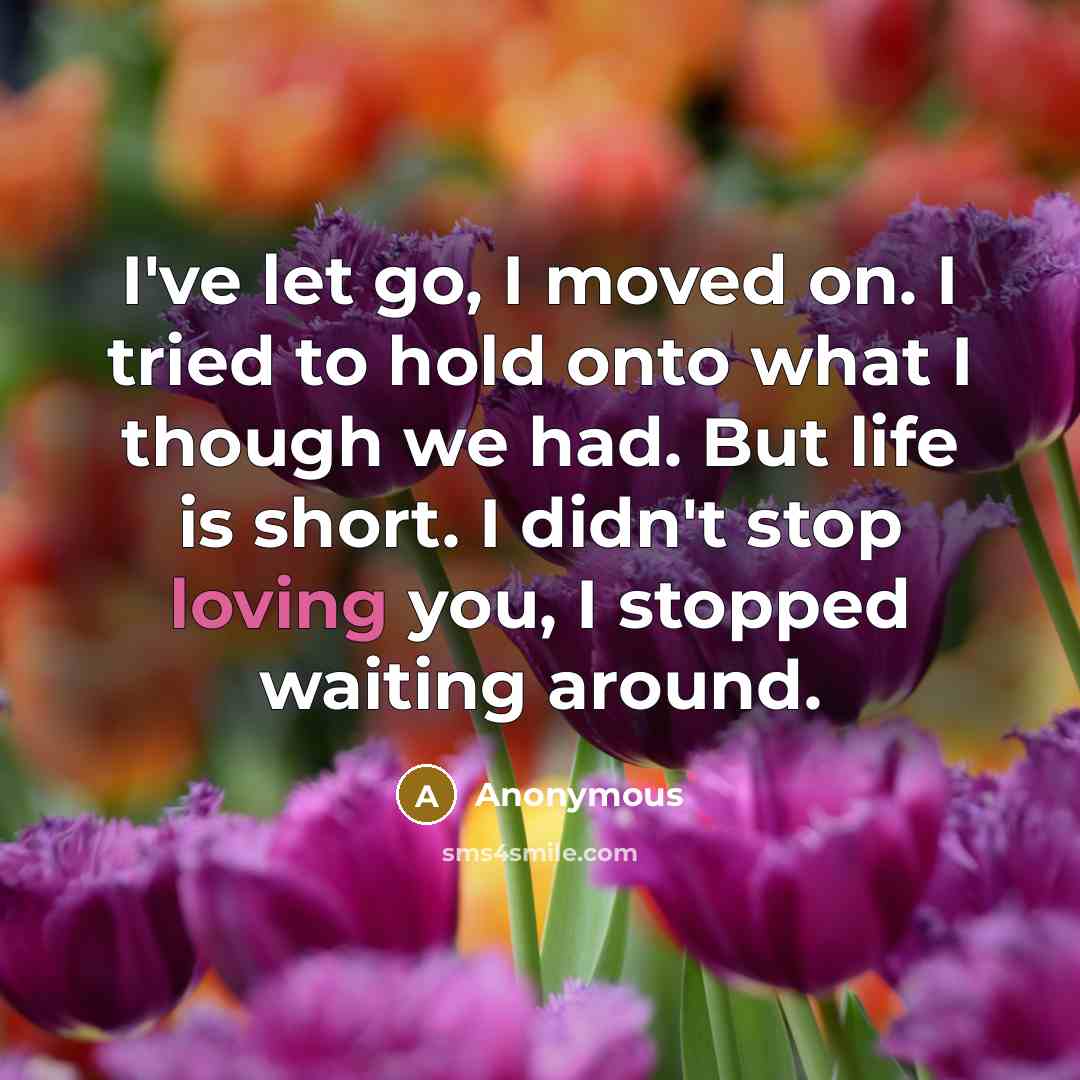 “I've let go, I moved on. I tried to hold…” quote by Anonymous