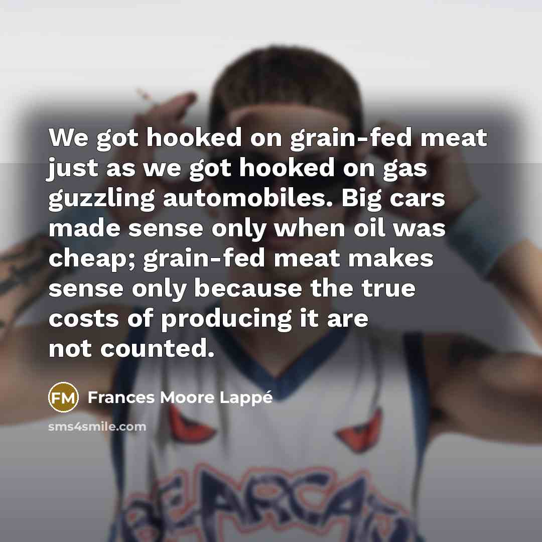 “We got hooked on grain-fed meat just as we got…” quote by Frances Moore Lappé