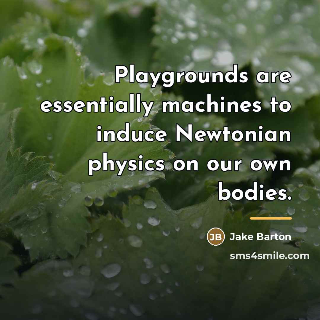 “Playgrounds are essentially machines to induce Newtonian physics on our…” quote by Jake Barton