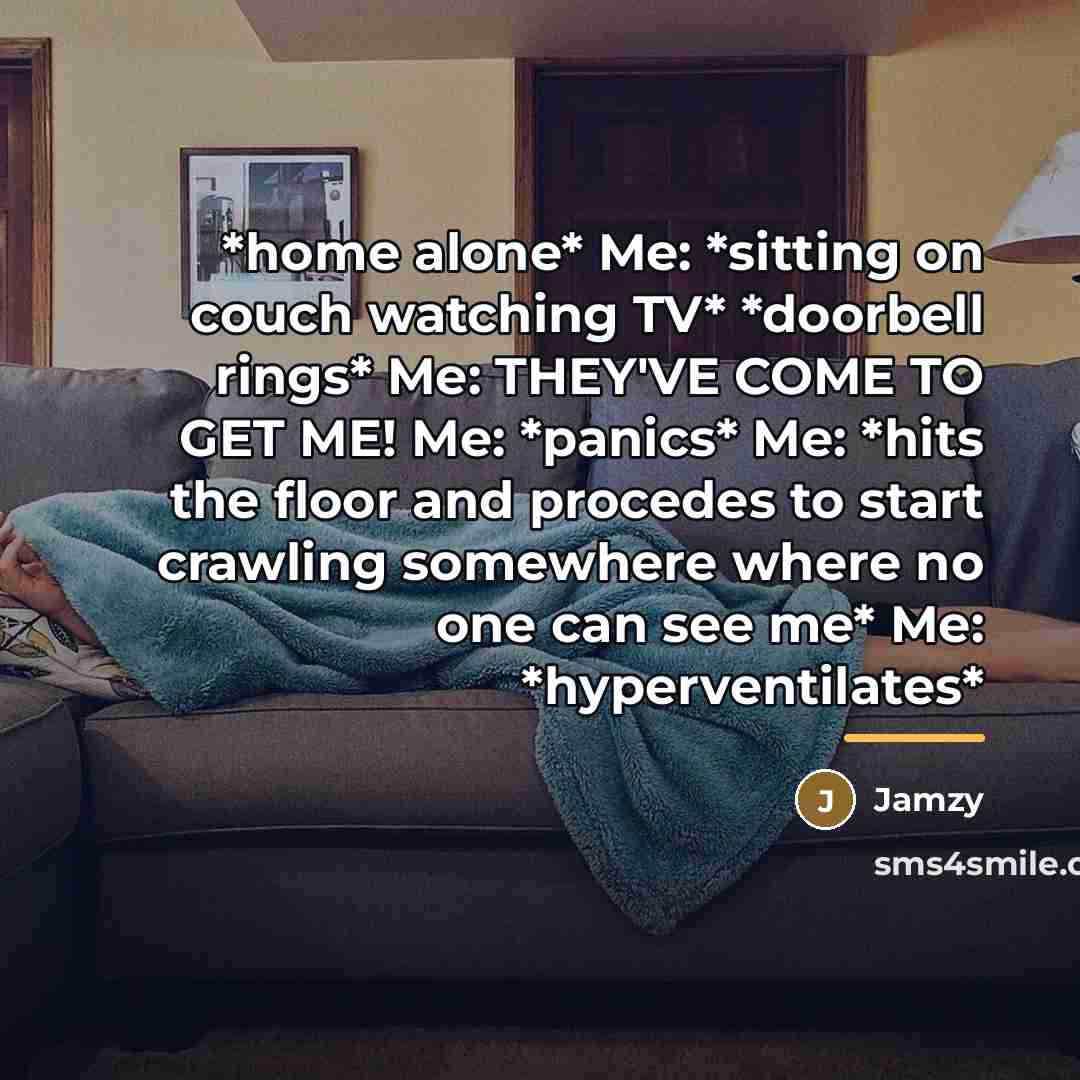 “*home alone* Me: *sitting on couch watching TV* *doorbell rings*…” quote by Jamzy