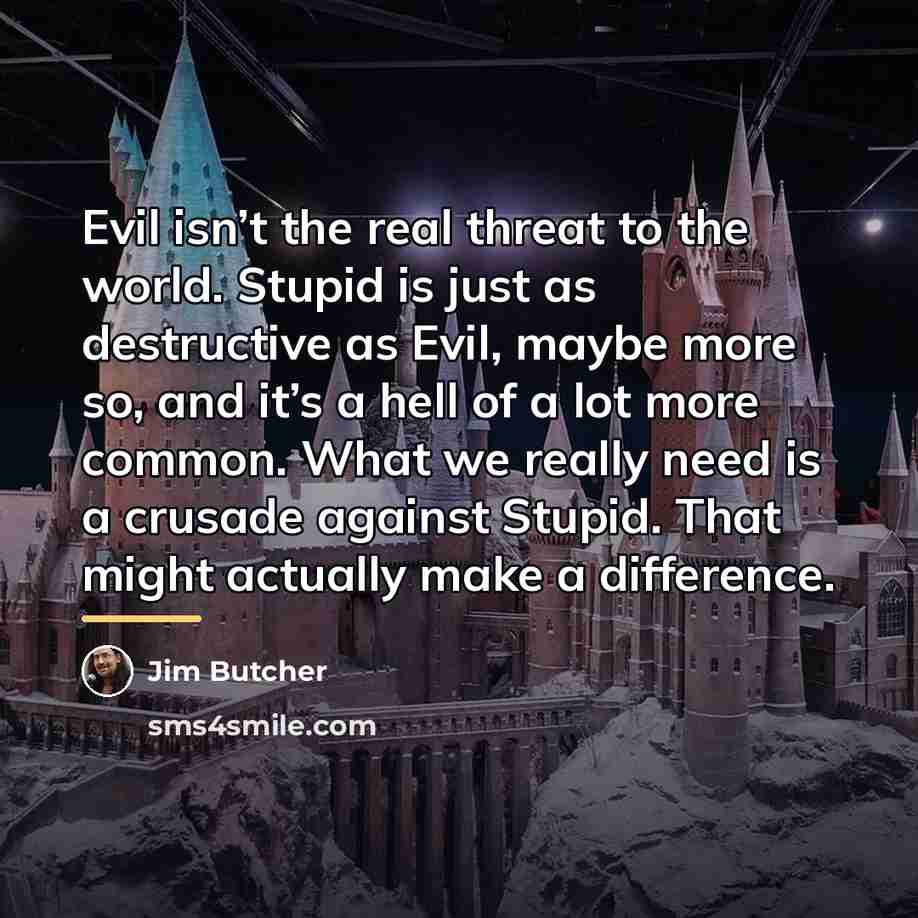 “Evil isn’t the real threat to the world. Stupid is…” quote by Jim Butcher