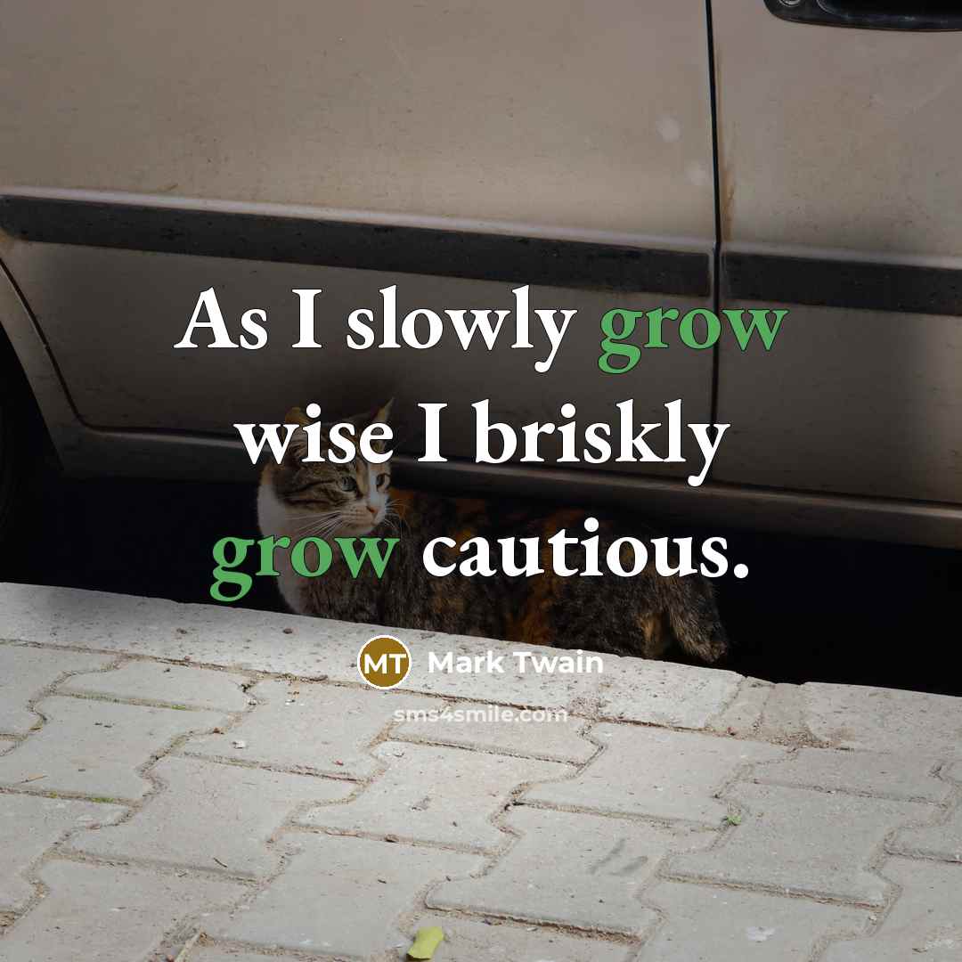 “As I slowly grow wise I briskly grow cautious.…” quote by Mark Twain