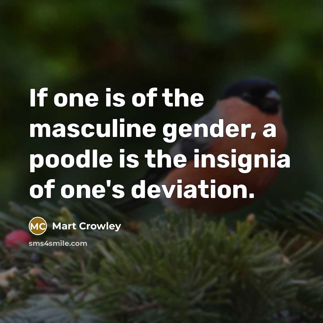 “If one is of the masculine gender, a poodle is…” quote by Mart Crowley
