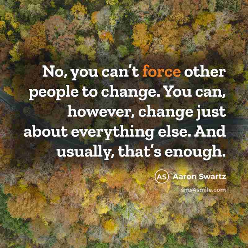 “No, you can’t force other people to change. You can,…” quote by Aaron Swartz