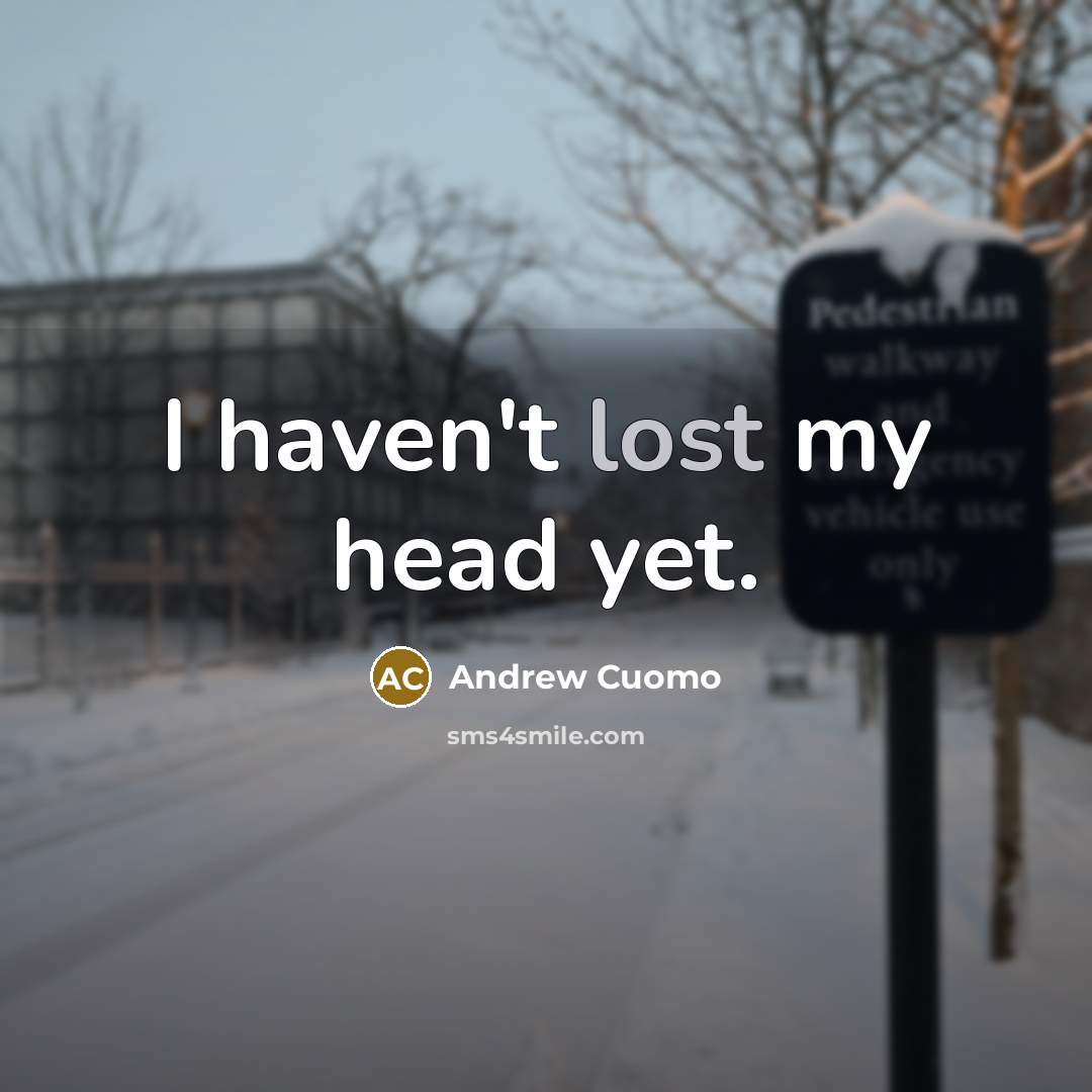 “I haven't lost my head yet.…” quote by Andrew Cuomo