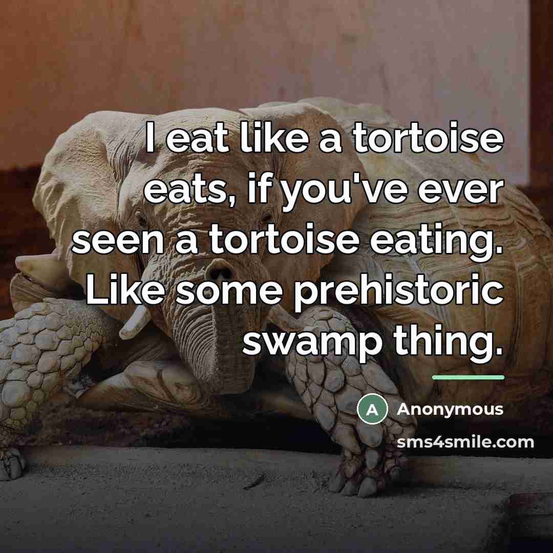“I eat like a tortoise eats, if you've ever seen…” quote by Anonymous