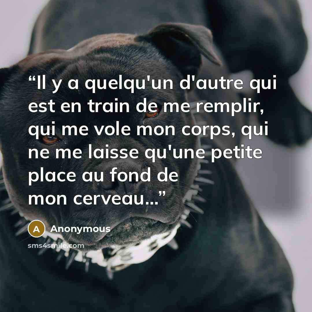 “Il y a quelqu'un d'autre qui est en train de me remplir, qui me vole mon corps, qui ne me laisse qu'une petite place au fond de mon cerveau...” quote by Anonymous
