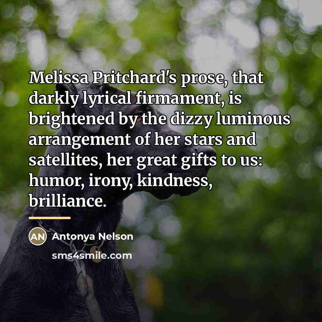 “Melissa Pritchard's prose, that darkly lyrical firmament, is brightened by…” quote by Antonya Nelson