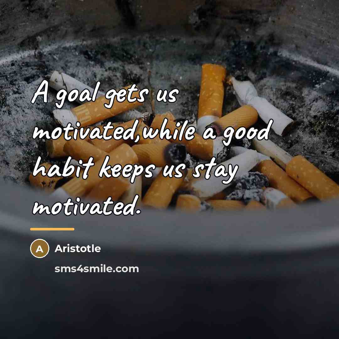 “A goal gets us motivated,while a good habit keeps us…” quote by Aristotle