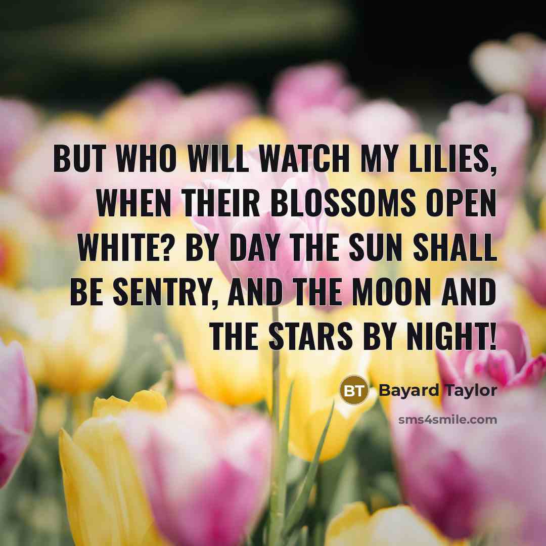 “But who will watch my lilies, When their blossoms open…” quote by Bayard Taylor