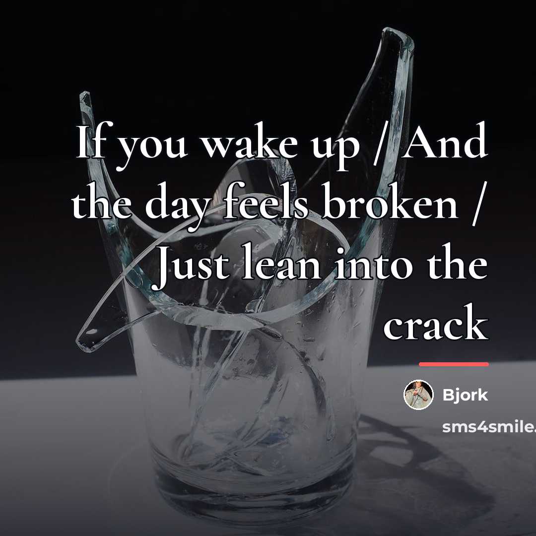“If you wake up / And the day feels broken…” quote by Bjork