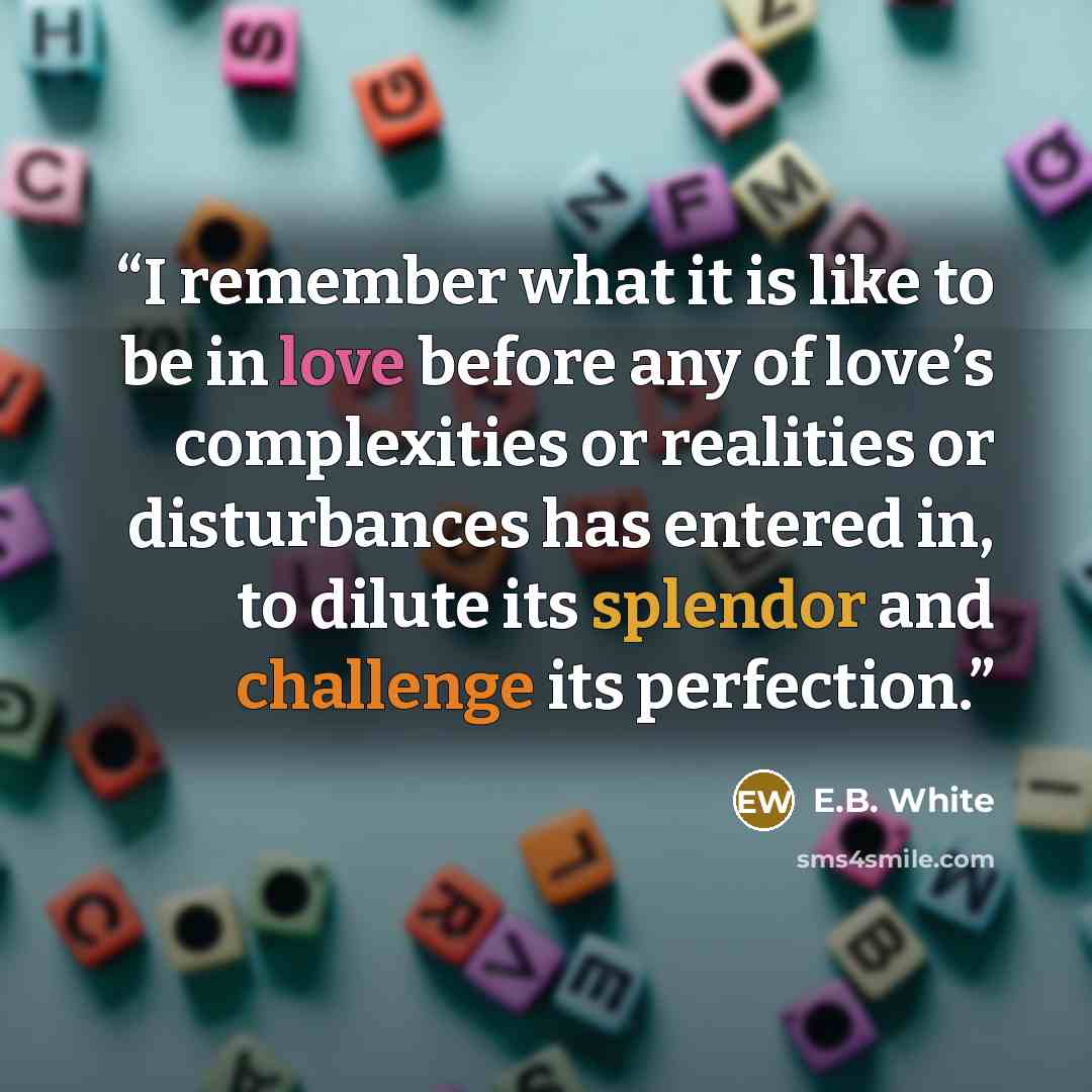 “I remember what it is like to be in love before any of love’s complexities or realities or disturbances has entered in, to dilute its splendor and challenge its perfection.” quote by E.B. White