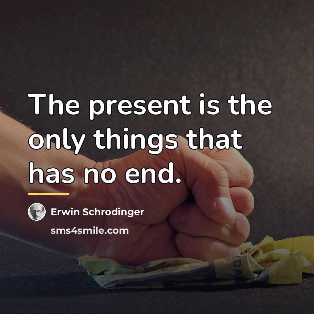 “The present is the only things that has no end.…” quote by Erwin Schrodinger