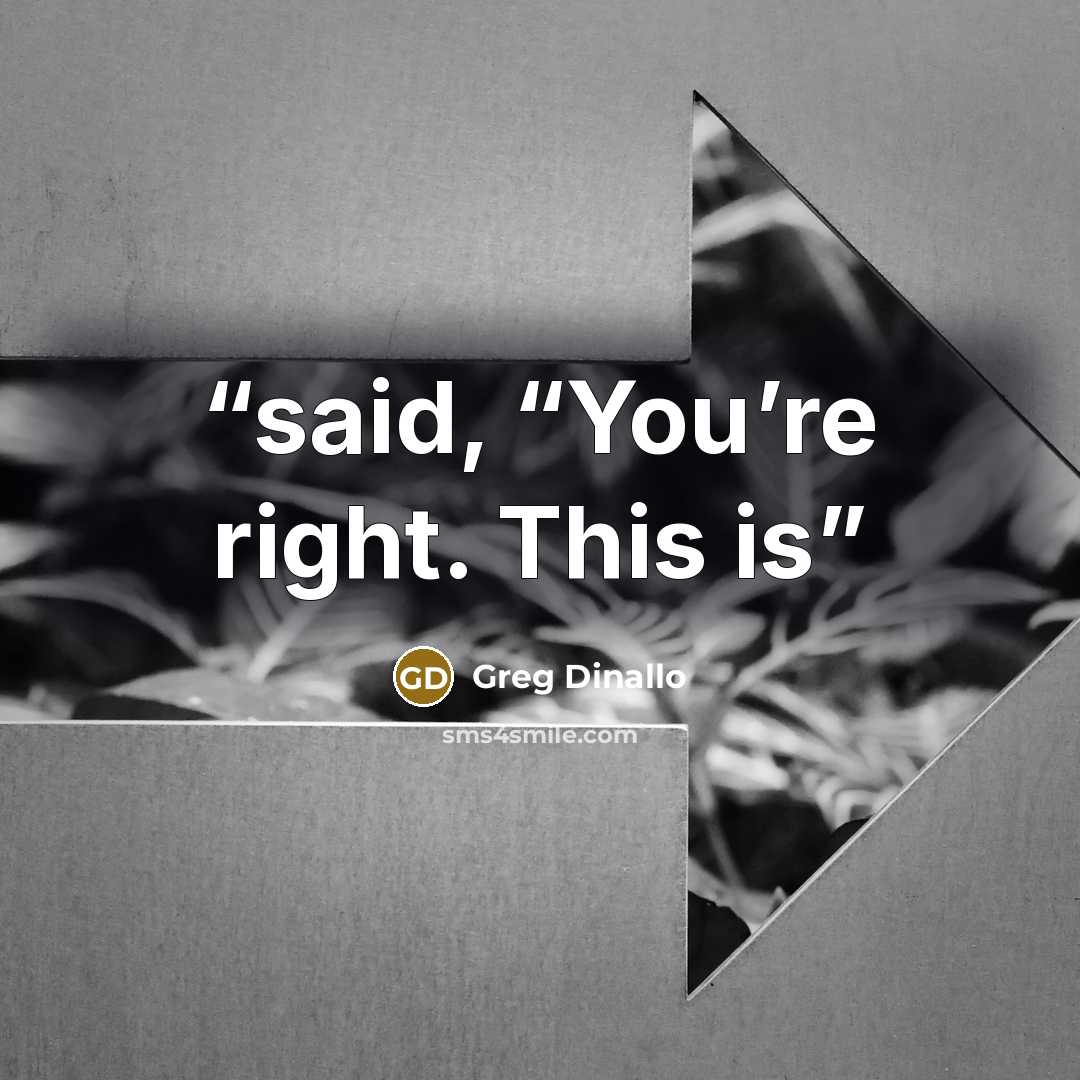“said, “You’re right. This is” quote by Greg Dinallo