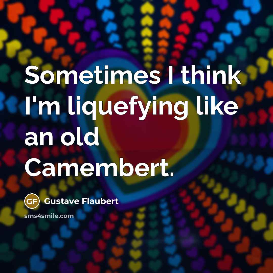 “Sometimes I think I'm liquefying like an old Camembert.…” quote by Gustave Flaubert