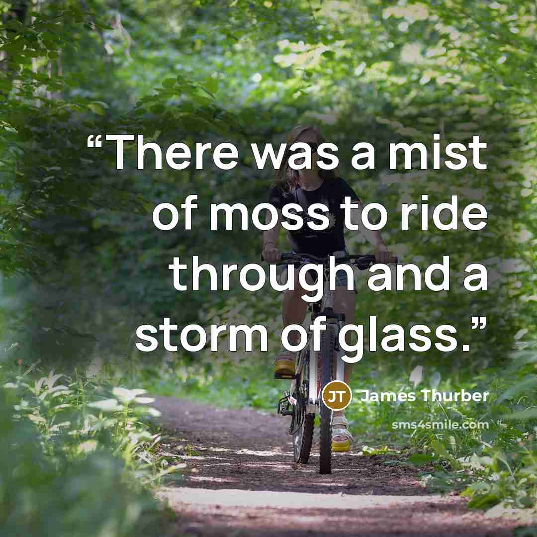 “There was a mist of moss to ride through and a storm of glass.” quote by James Thurber