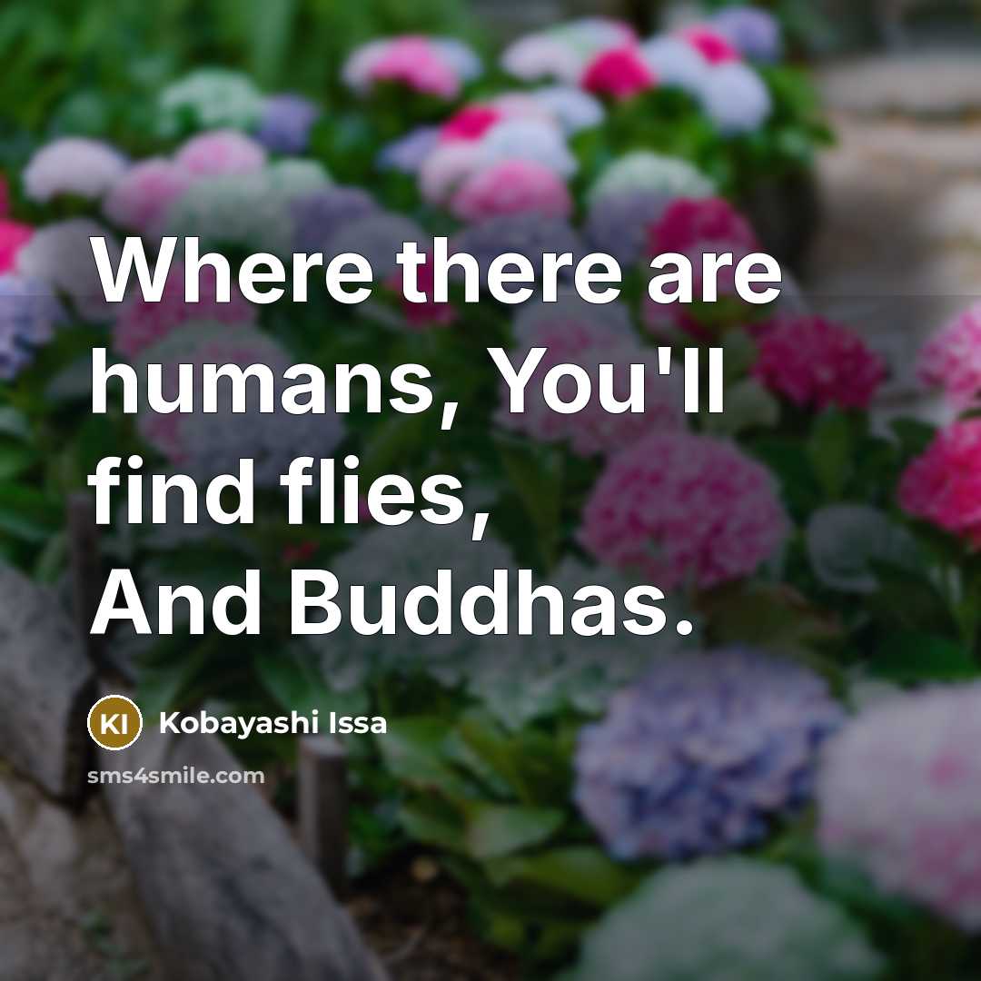 “Where there are humans, You'll find flies, And Buddhas.…” quote by Kobayashi Issa