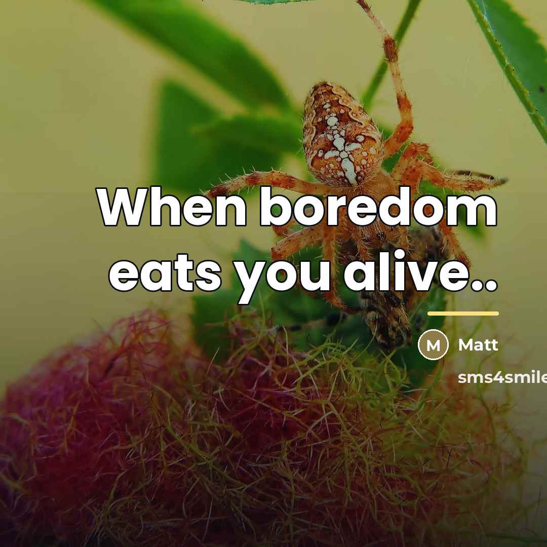 “When boredom eats you alive..…” quote by Matt