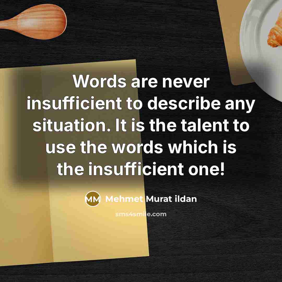 “Words are never insufficient to describe any situation. It is…” quote by Mehmet Murat Ildan