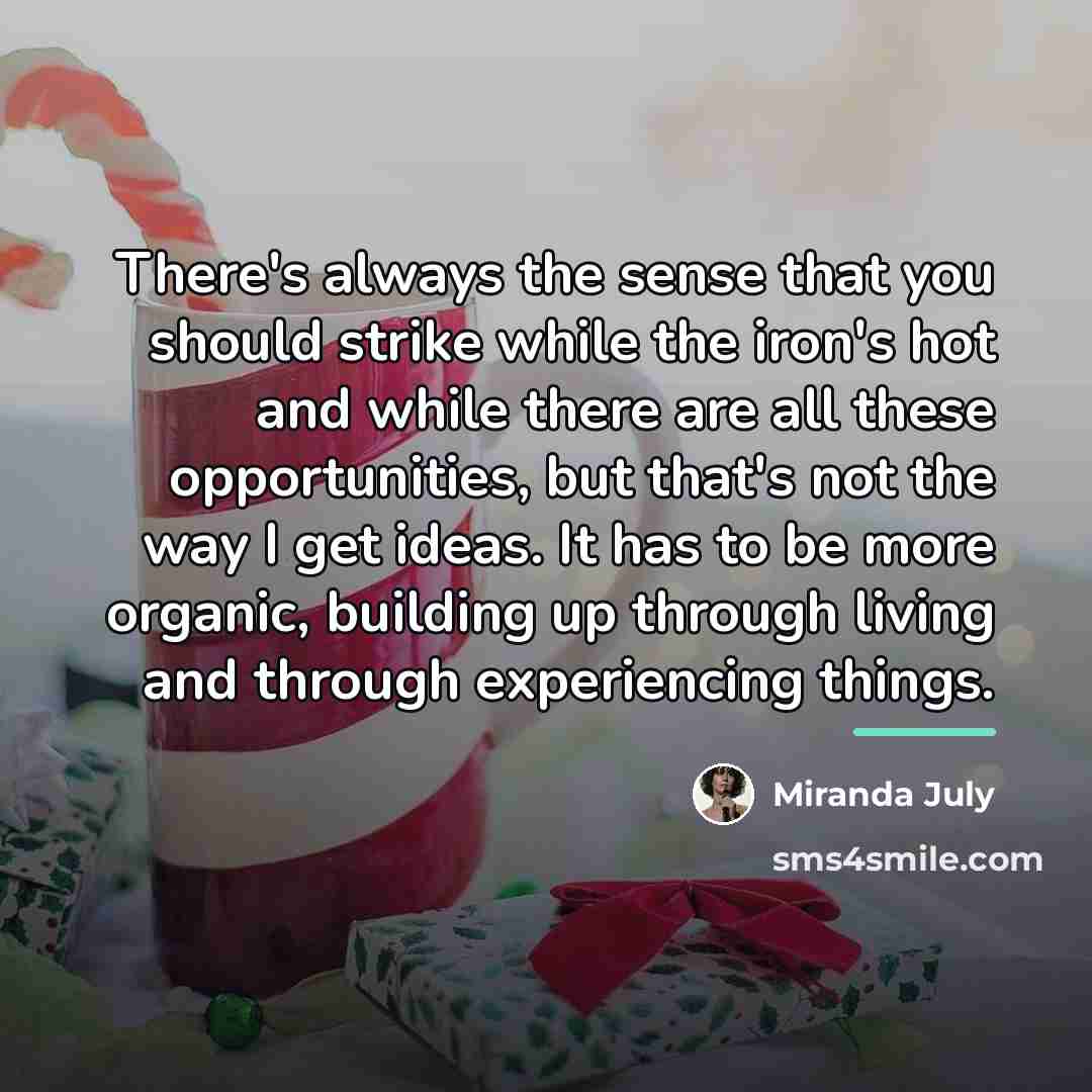“There's always the sense that you should strike while the…” quote by Miranda July