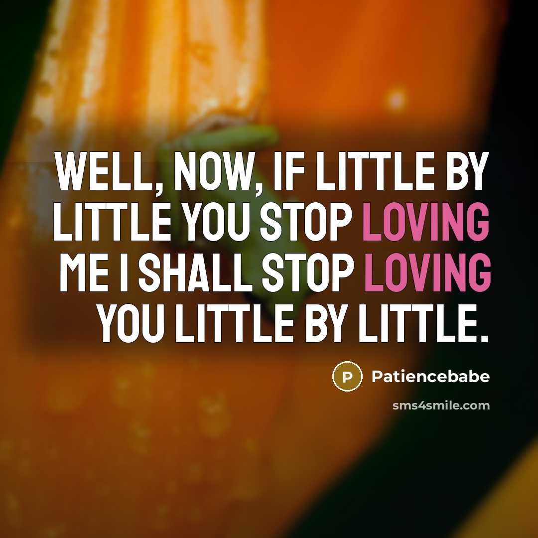“Well, now, if little by little you stop loving me…” quote by Patiencebabe