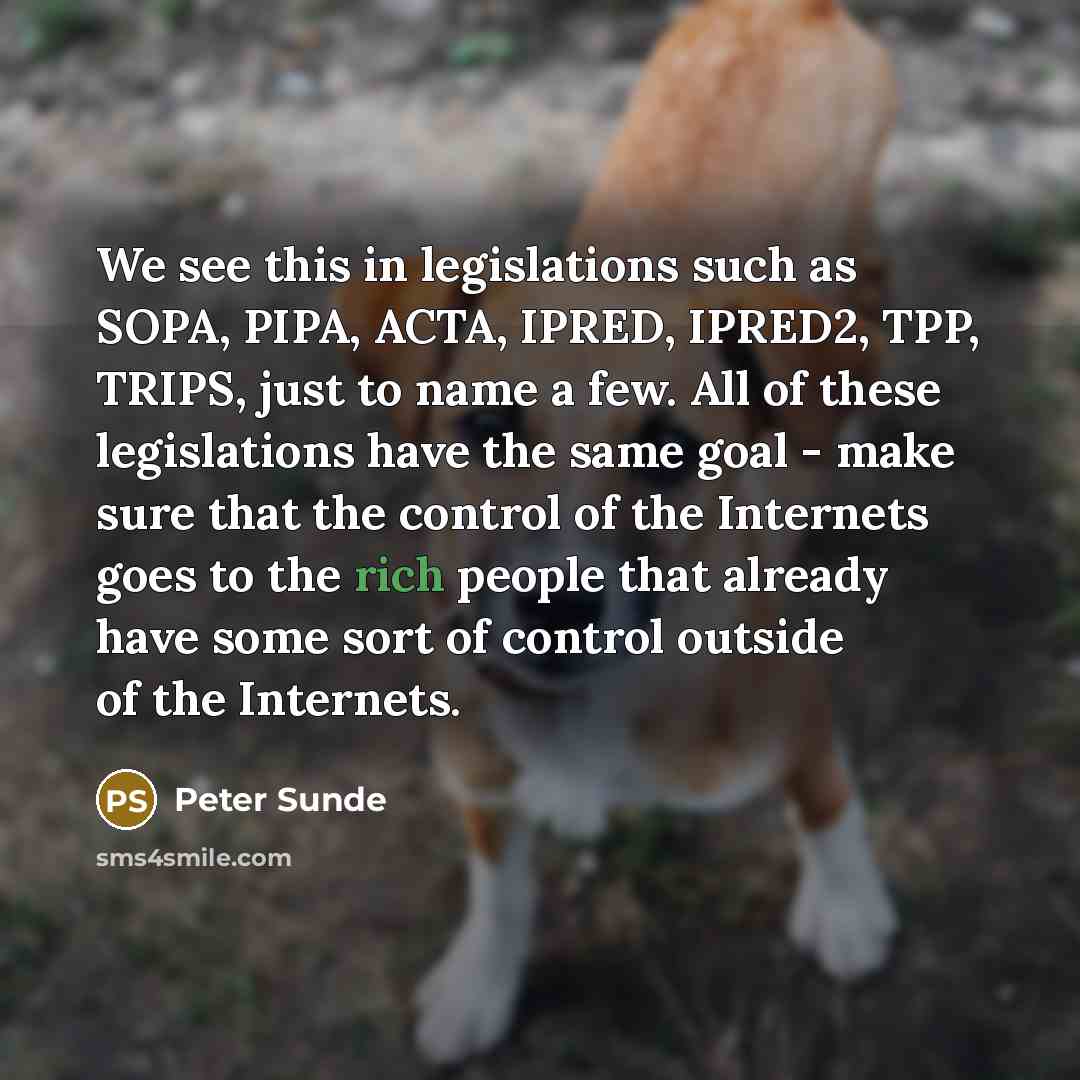 “We see this in legislations such as SOPA, PIPA, ACTA,…” quote by Peter Sunde