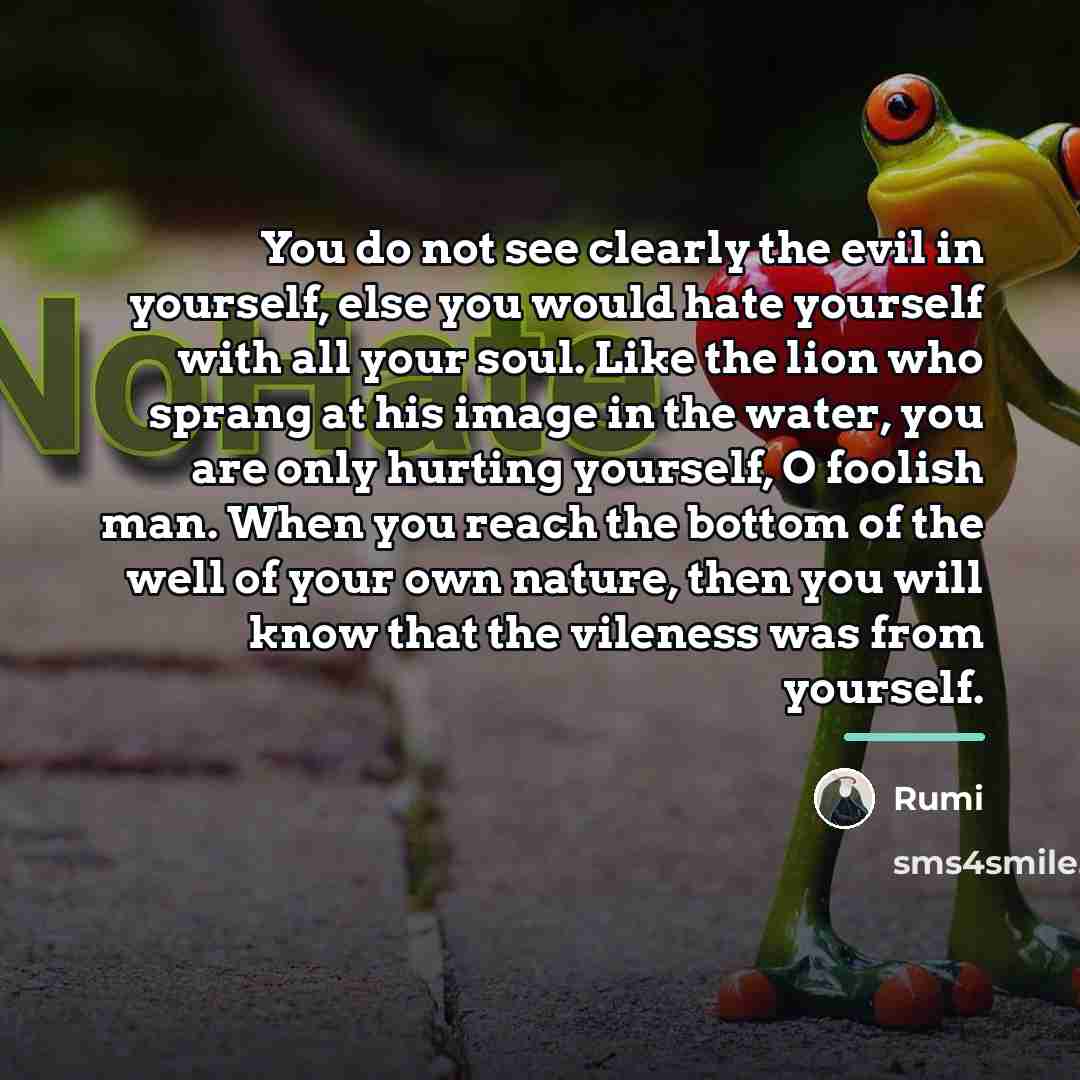 “You do not see clearly the evil in yourself, else…” quote by Rumi