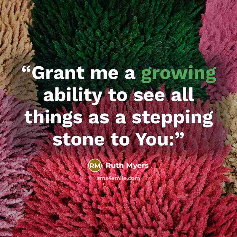 “Grant me a growing ability to see all things as a stepping stone to You:” quote by Ruth Myers