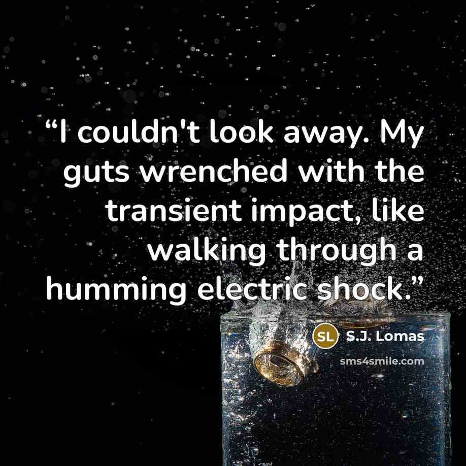 “I couldn't look away. My guts wrenched with the transient impact, like walking through a humming electric shock.” quote by S.J. Lomas
