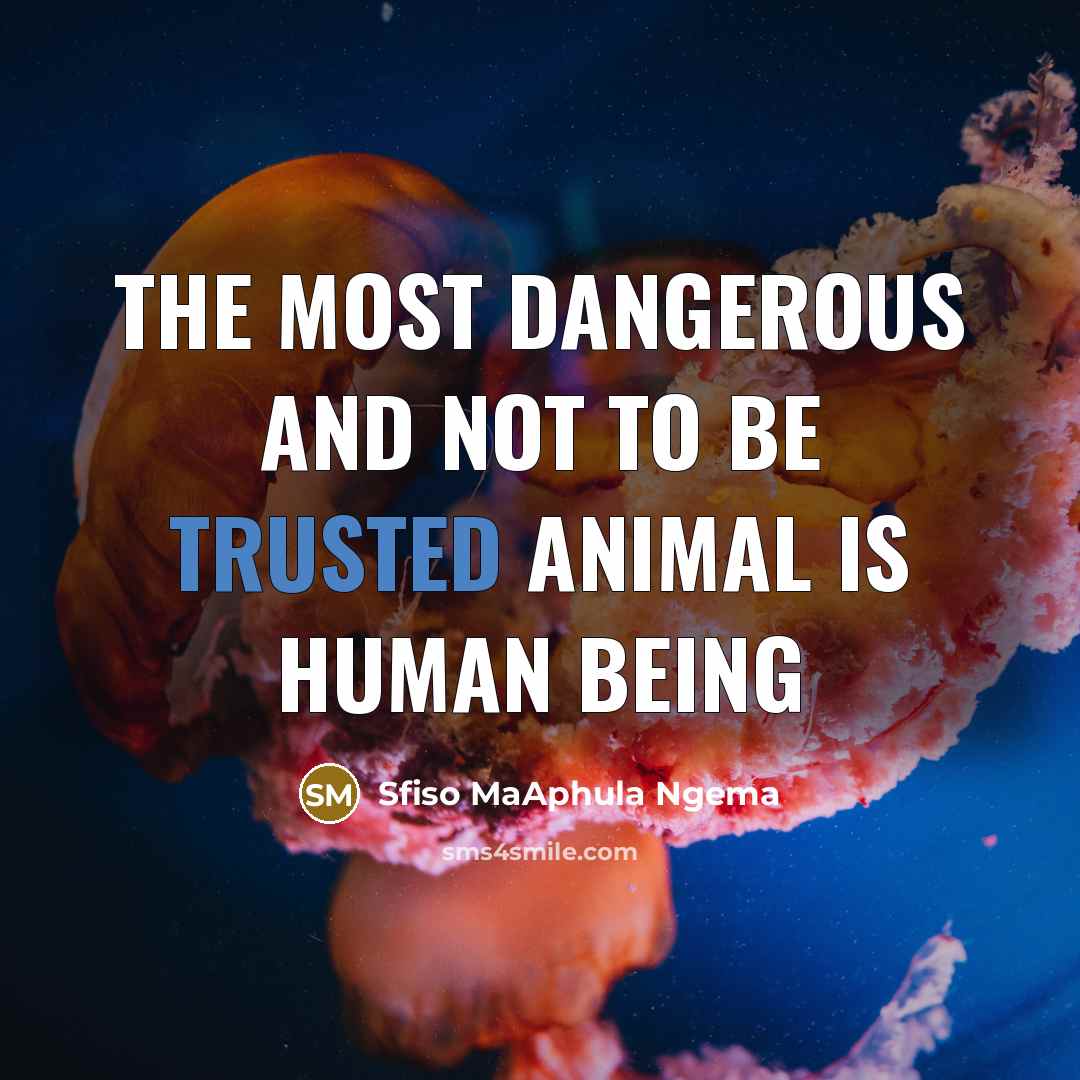 “The most dangerous and not to be trusted animal is…” quote by Sfiso MaAphula Ngema