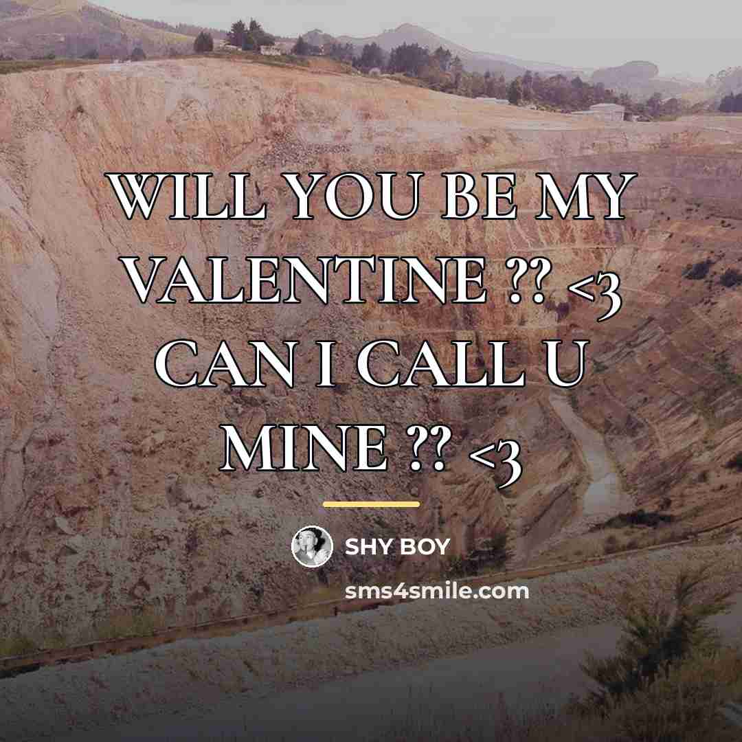 “WILL YOU BE MY VALENTINE ??…” quote by SHY BOY