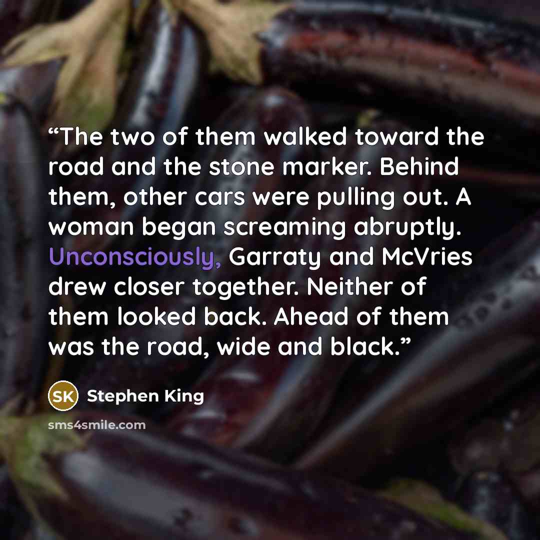 “The two of them walked toward the road and the stone marker. Behind them, other cars were pulling out. A woman began screaming abruptly. Unconsciously, Garraty and McVries drew closer together. Neither of them looked back. Ahead of them was the road, wide and black.” quote by Stephen King