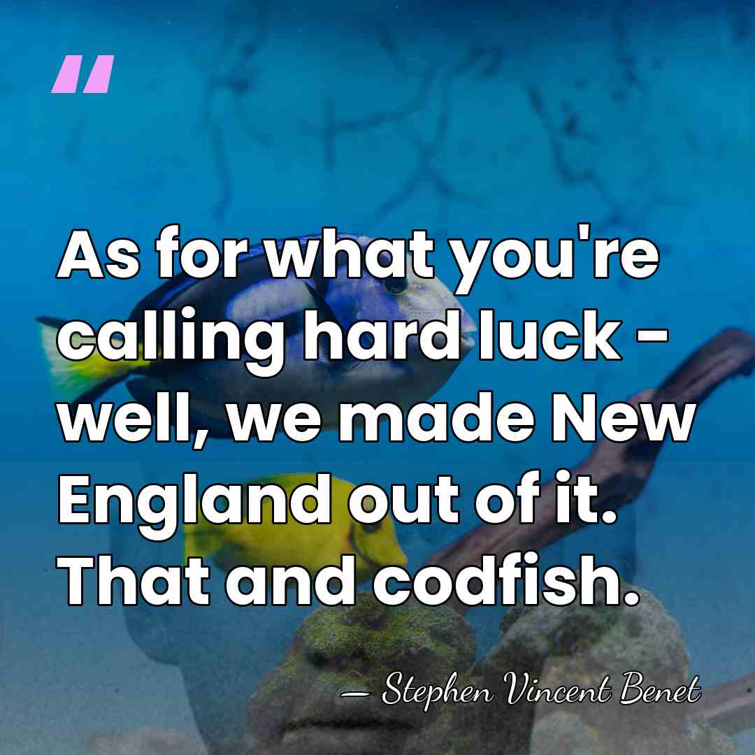 As for what you're calling hard luck - well, we made New&hellip; - Stephen Vincent Benet