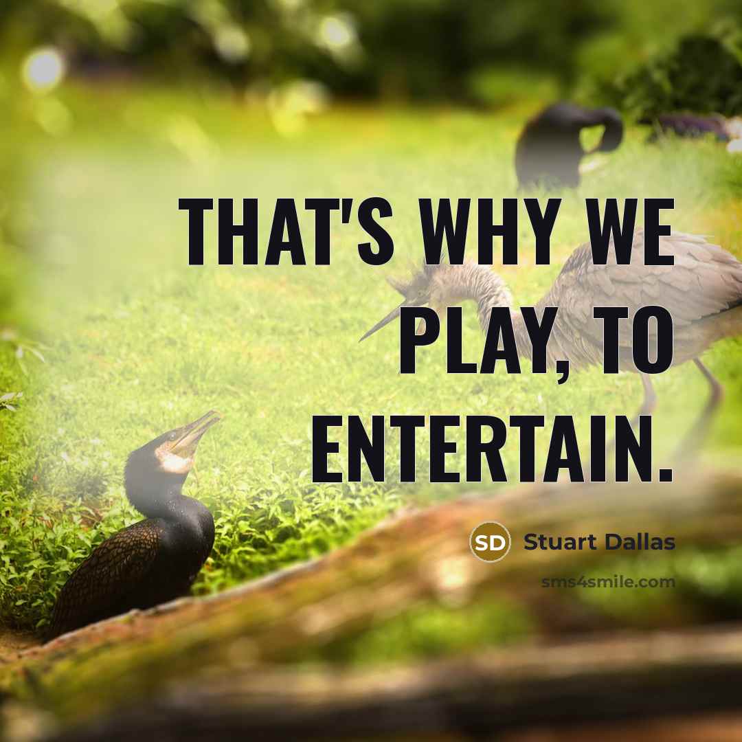 “That's why we play, to entertain.…” quote by Stuart Dallas