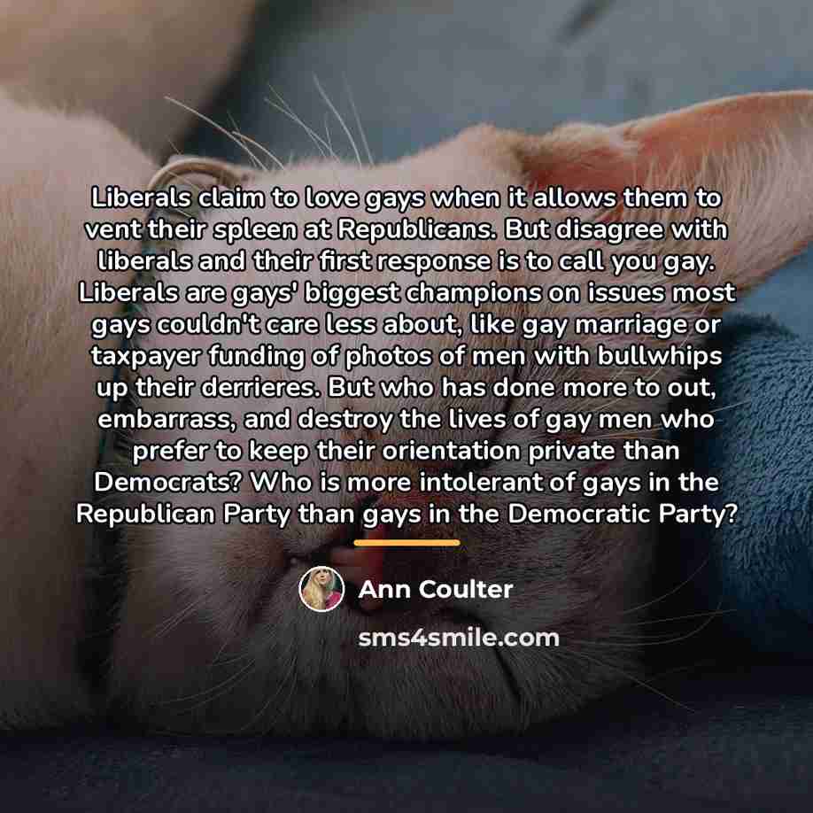 “Liberals claim to love gays when it allows them to…” quote by Ann Coulter