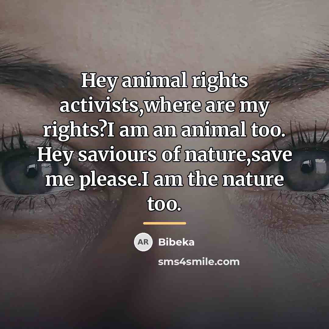 “Hey animal rights activists,where are my rights?I am an animal…” quote by Bibeka
