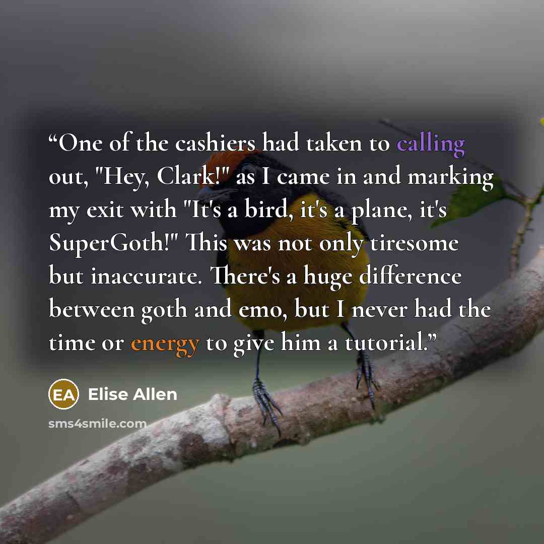 “One of the cashiers had taken to calling out, "Hey, Clark!" as I came in and marking my exit with "It's a bird, it's a plane, it's SuperGoth!" This was not only tiresome but inaccurate. There's a huge difference between goth and emo, but I never had the time or energy to give him a tutorial.” quote by Elise Allen