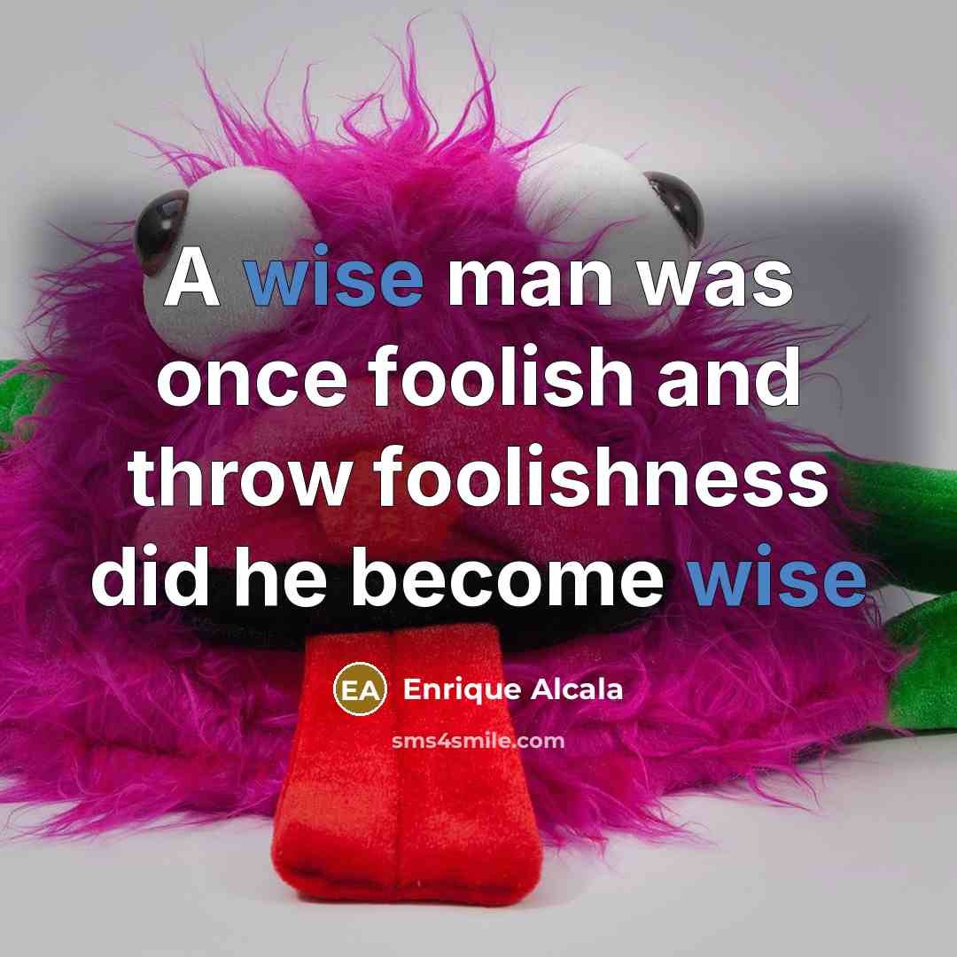“A wise man was once foolish and throw foolishness did he become wise” quote by Enrique Alcala